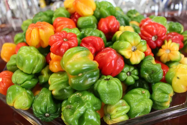 Produits d'entretien La bel lande